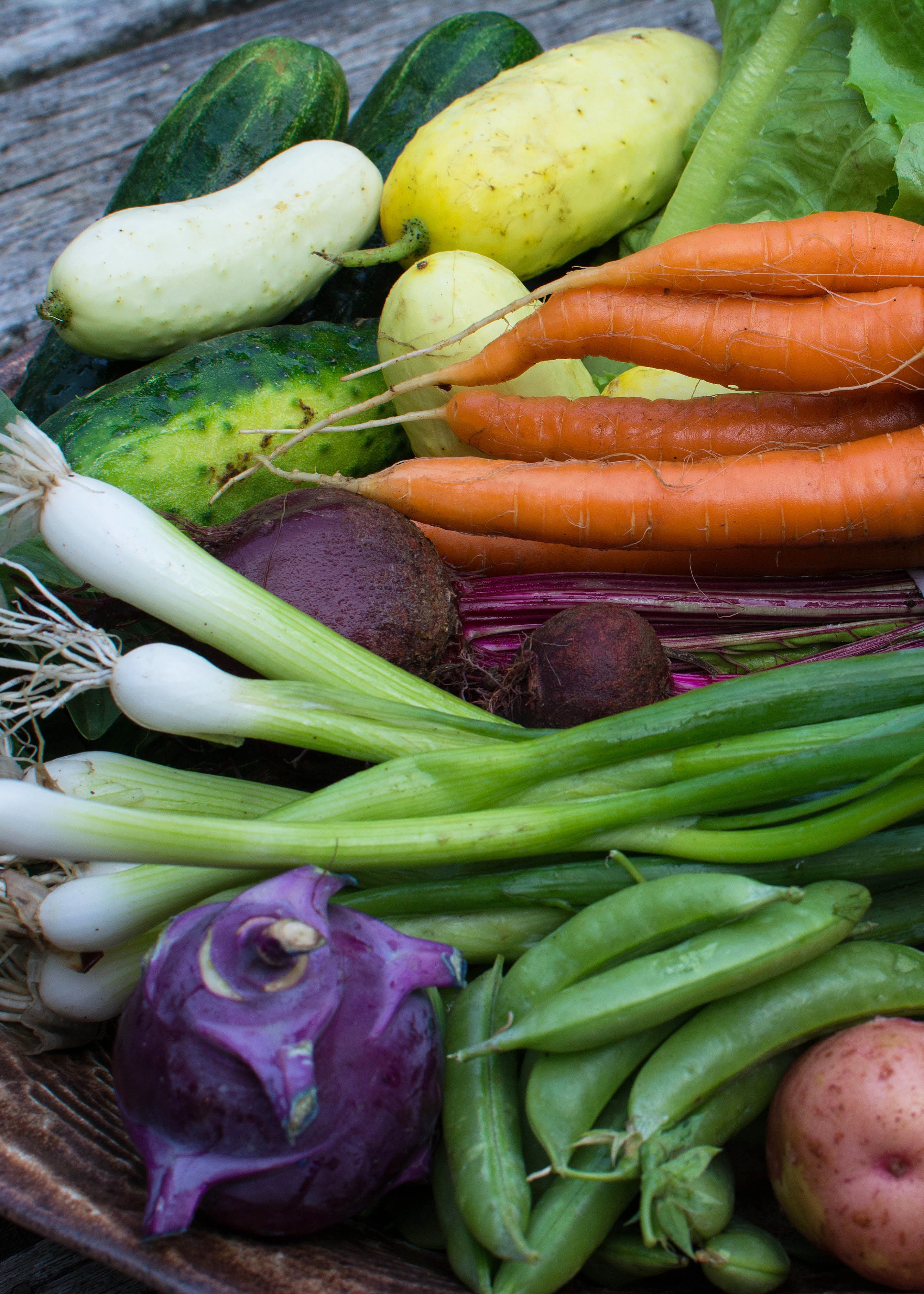Summer Csa Share 2 Week Sampler Medway Community Farm