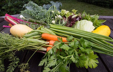 Summer Share Medway Community Farm
